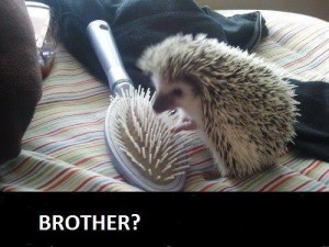 Brother?